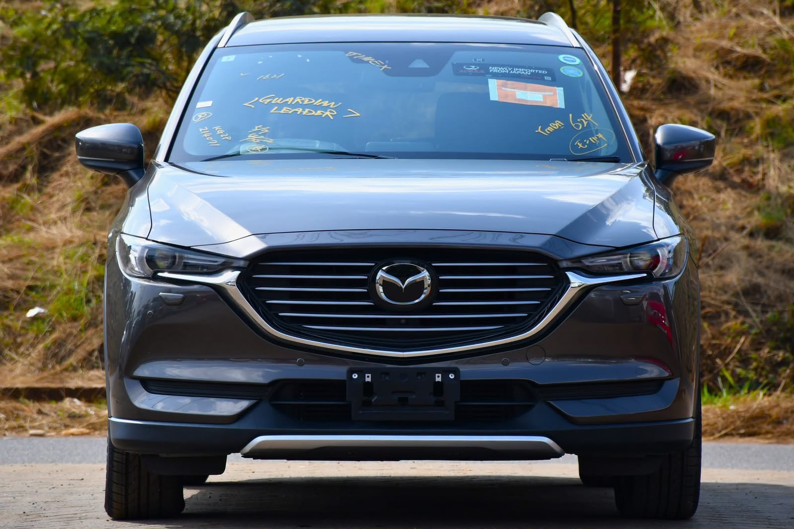 2019 Mazda CX-8